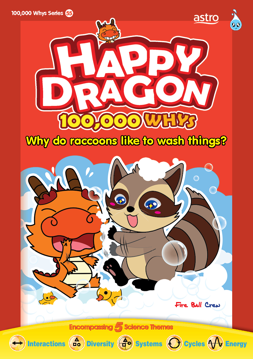 HAPPY DRAGON # 55 ~ WHY DO RACCOONS LIKE TO WASH THINGS ?